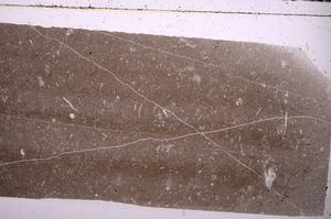 Plane Polarized, E45989