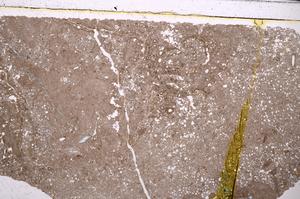 Plane Polarized, E46048