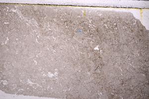 Plane Polarized, E46049