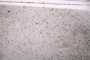 Plane Polarized, E46068