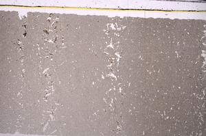 Plane Polarized, E46092