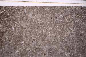 Plane Polarized, E46124