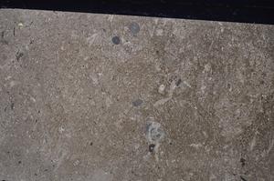 Cross Polarized, E46126