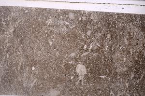 Plane Polarized, E46126