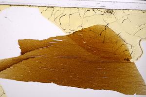 Plane Polarized, E46144