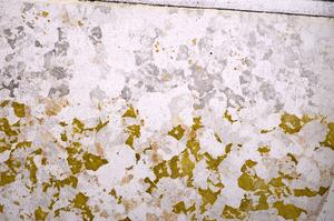 Plane Polarized, E46176/A