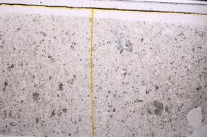 Plane Polarized, E46236
