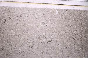 Plane Polarized, E46237