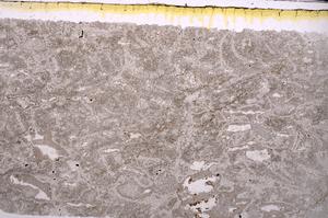 Plane Polarized, E46238