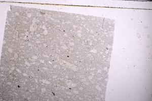 Plane Polarized, E46243