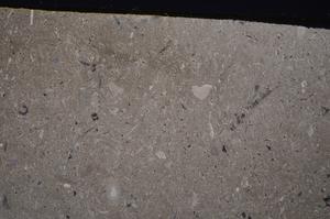 Cross Polarized, E46270