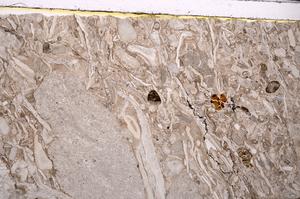 Plane Polarized, E46277