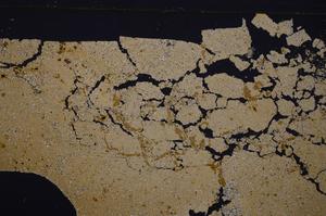 Cross Polarized, E46298