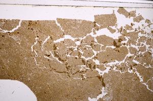 Plane Polarized, E46298