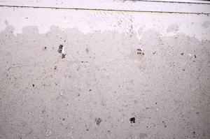 Plane Polarized, E46301