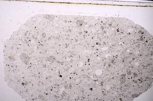 Plane Polarized, E46302/A