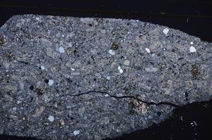 Cross Polarized, E46302/B