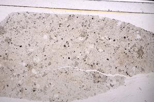 Plane Polarized, E46302/B