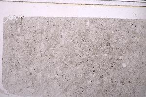 Plane Polarized, E46303