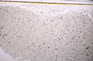 Plane Polarized, E46313