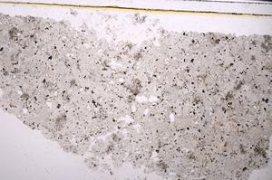 Plane Polarized, E46315