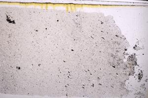 Plane Polarized, E46316