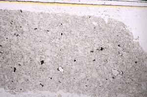 Plane Polarized, E46317