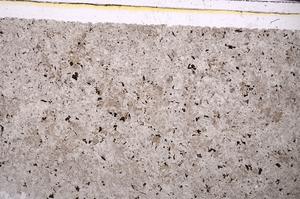 Plane Polarized, E46318