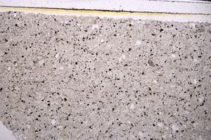 Plane Polarized, E46319