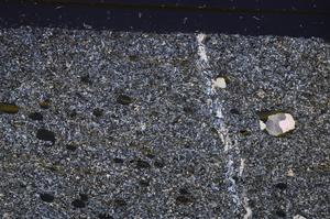 Cross Polarized, E46321