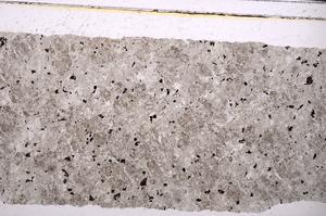 Plane Polarized, E46322