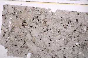 Plane Polarized, E46323