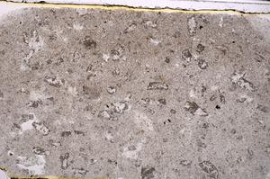 Plane Polarized, E46324