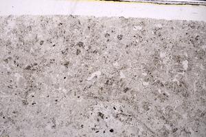 Plane Polarized, E46325