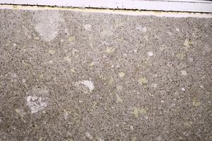 Plane Polarized, E46326