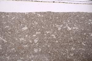 Plane Polarized, E46329