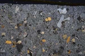 Cross Polarized, E46335