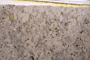 Plane Polarized, E46335