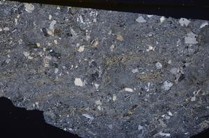 Cross Polarized, E46336