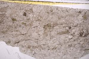 Plane Polarized, E46336