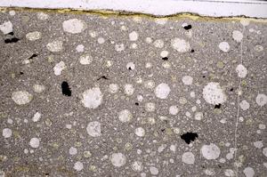 Plane Polarized, E46337