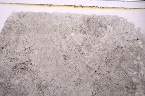 Plane Polarized, E46342