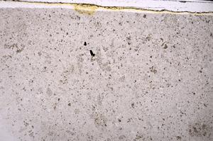 Plane Polarized, E46348