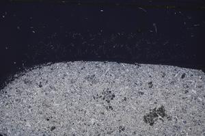 Cross Polarized, E46354