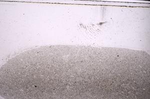 Plane Polarized, E46354