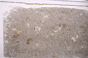 Plane Polarized, E46355