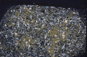 Cross Polarized, E46357