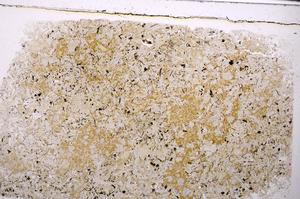 Plane Polarized, E46357