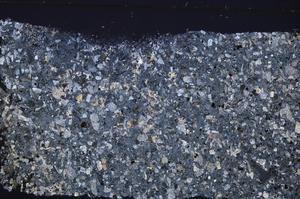 Cross Polarized, E46358