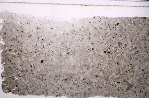 Plane Polarized, E46358